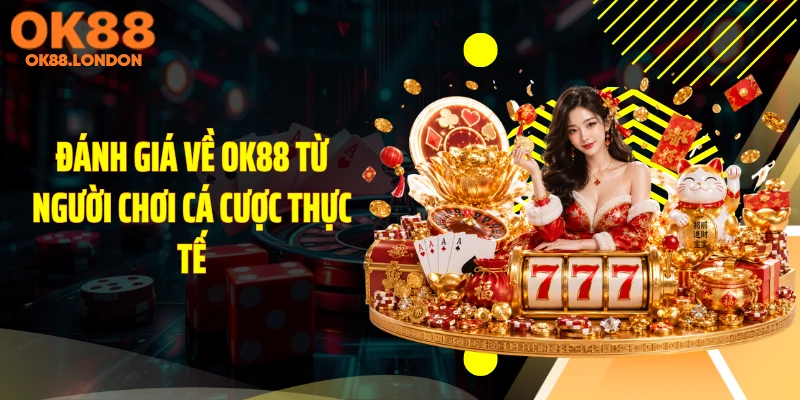 Đánh giá về OK88 từ người chơi cá cược thực tế