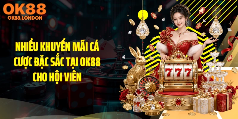 Nhiều khuyến mãi cá cược đặc sắc tại OK88 cho hội viên